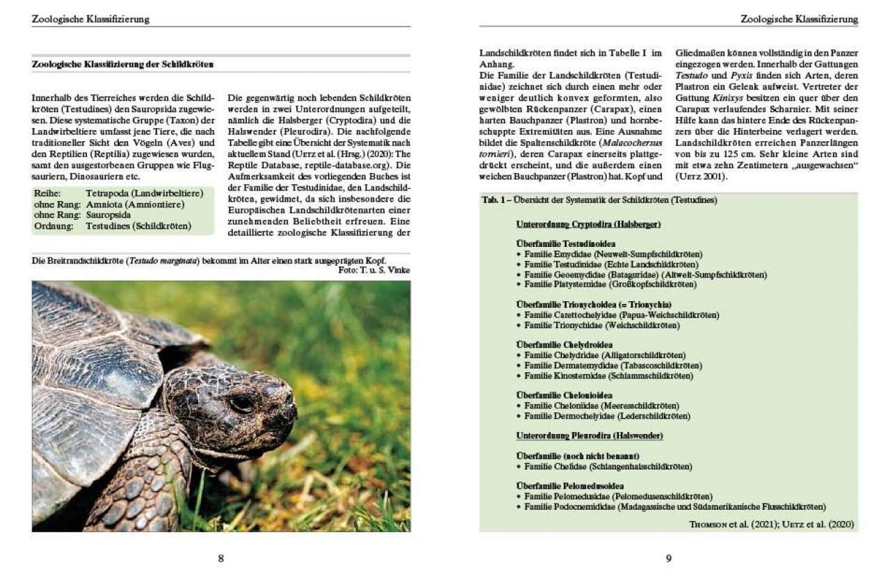 Ernährung von Landschildkröten